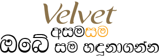 Velvet Logo